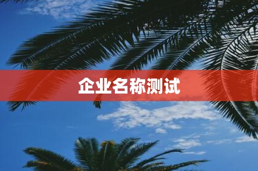 企业名称测试