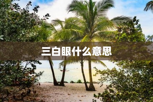 三白眼什么意思