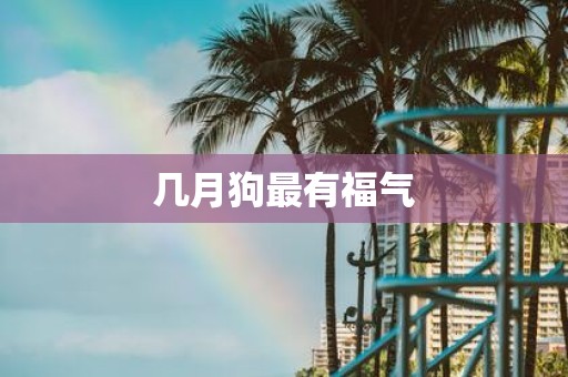 几月狗最有福气