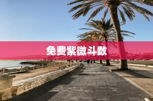 免费紫微斗数