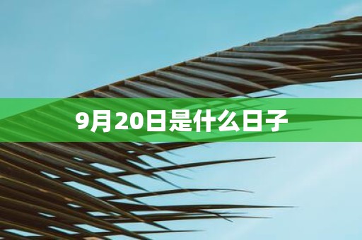 9月20日是什么日子
