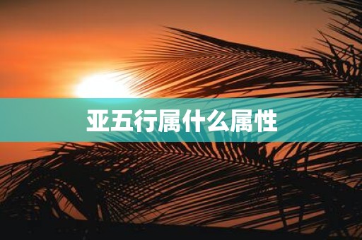 亚五行属什么属性