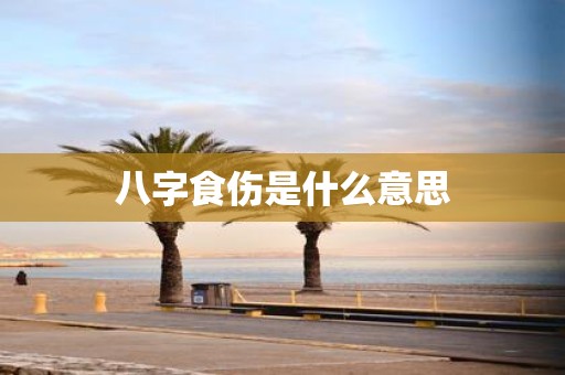 八字食伤是什么意思
