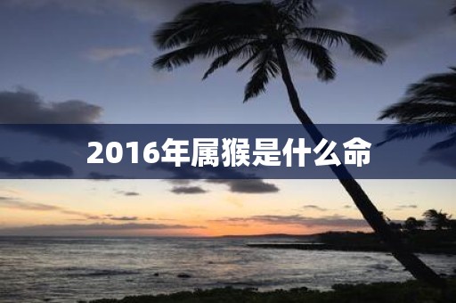 2016年属猴是什么命