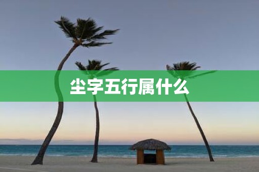 尘字五行属什么