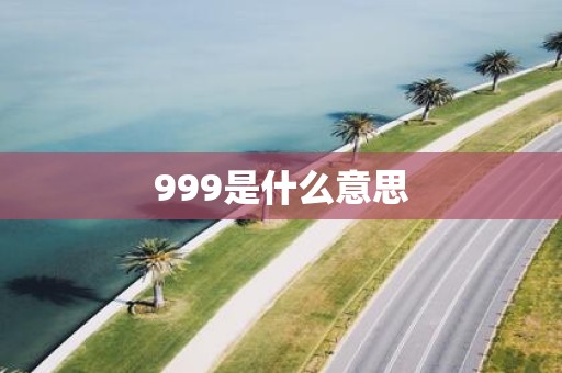 999是什么意思