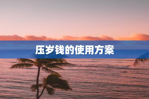 压岁钱的使用方案