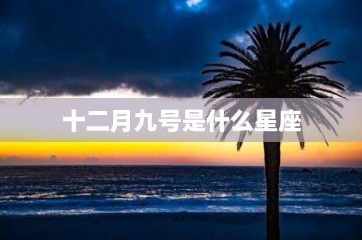 十二月九号是什么星座