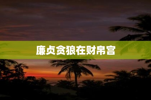 廉贞贪狼在财帛宫