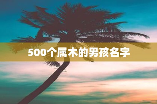 500个属木的男孩名字