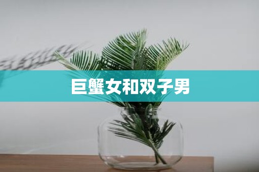 巨蟹女和双子男