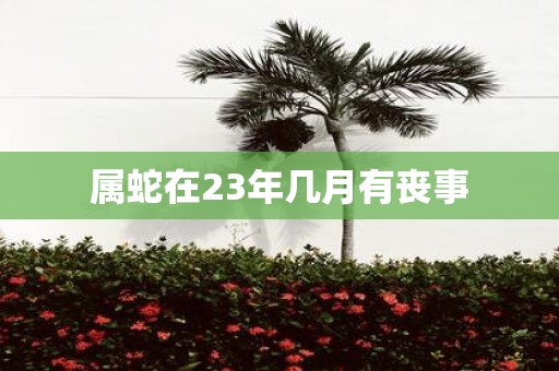 属蛇在23年几月有丧事