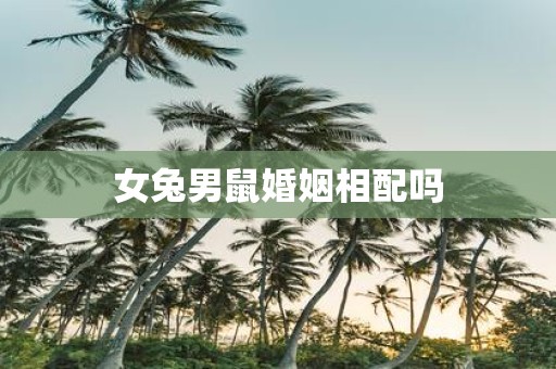 女兔男鼠婚姻相配吗