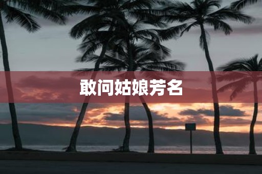 敢问姑娘芳名