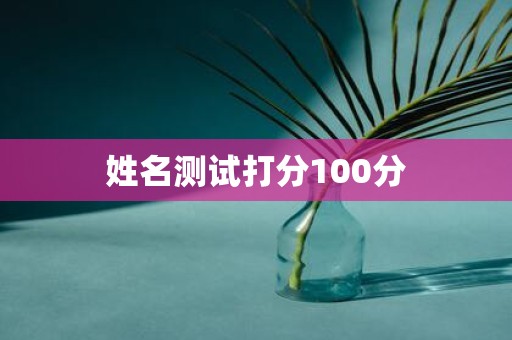 姓名测试打分100分