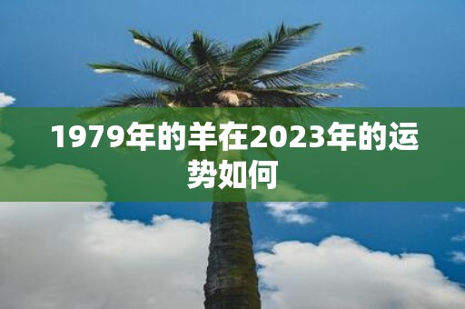 1979年的羊在2025年的运势如何