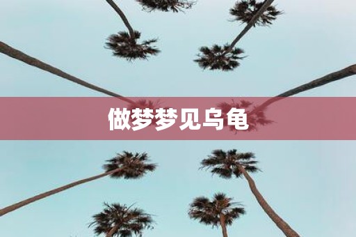 做梦梦见乌龟