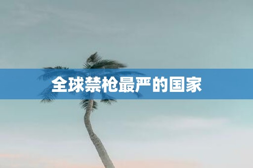 全球禁枪最严的国家
