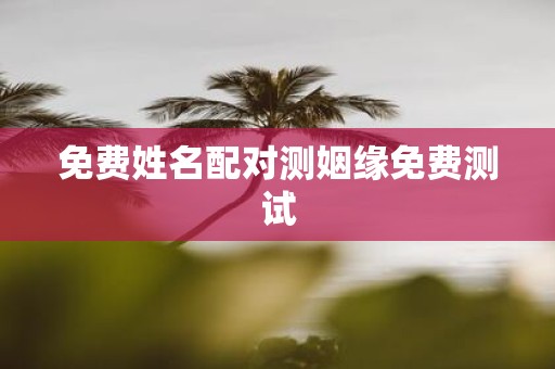免费姓名配对测姻缘免费测试