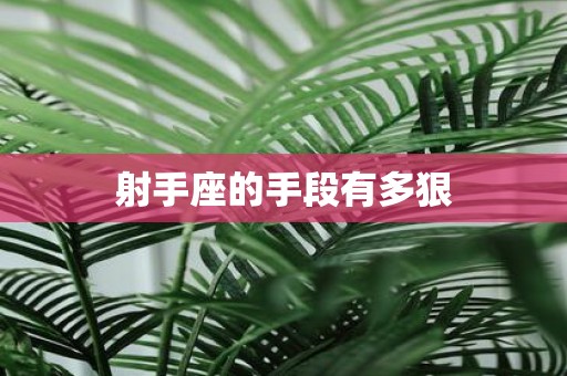 射手座的手段有多狠