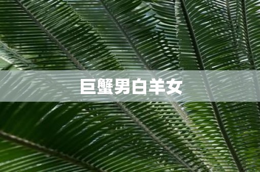 巨蟹男白羊女