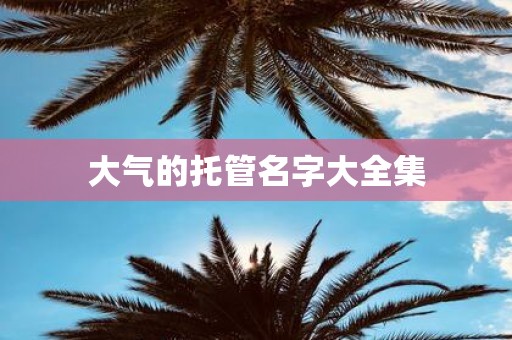 大气的托管名字大全集