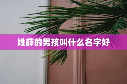姓薛的男孩叫什么名字好