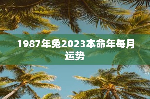 1987年兔2025本命年每月运势