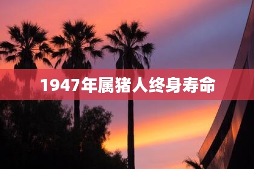 1947年属猪人终身寿命