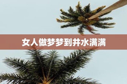 女人做梦梦到井水满满