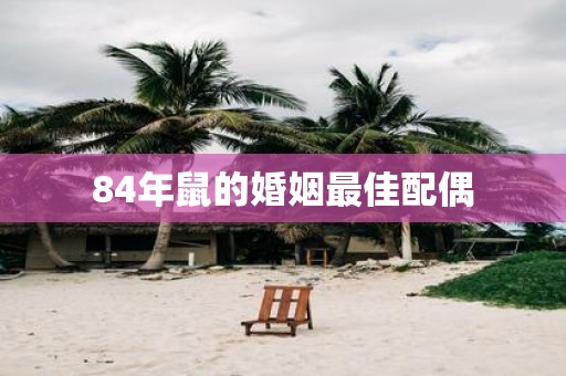 84年鼠的婚姻最佳配偶