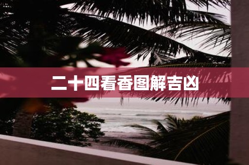 二十四看香图解吉凶