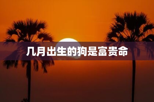 几月出生的狗是富贵命