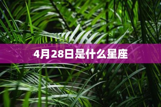 4月28日是什么星座