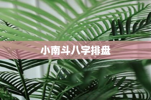 小南斗八字排盘