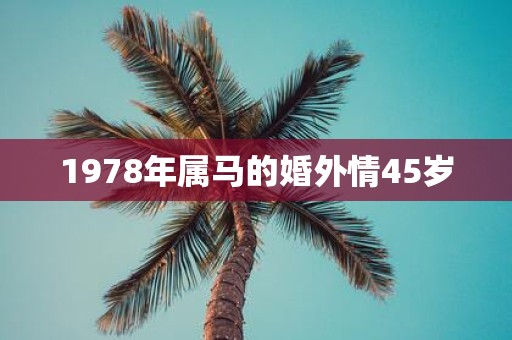 1978年属马的婚外情45岁
