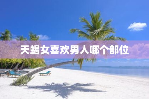 天蝎女喜欢男人哪个部位