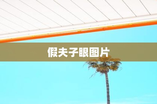 假夫子眼图片
