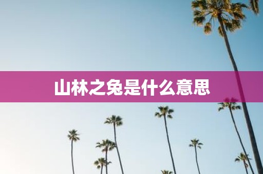 山林之兔是什么意思