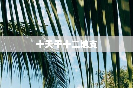 十天干十二地支