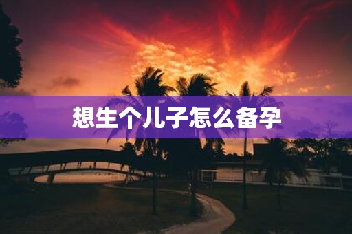 想生个儿子怎么备孕