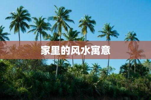 家里的风水寓意
