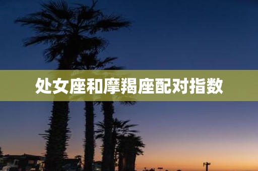 处女座和摩羯座配对指数