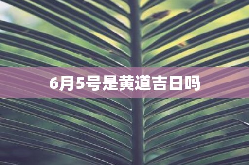 6月5号是黄道吉日吗
