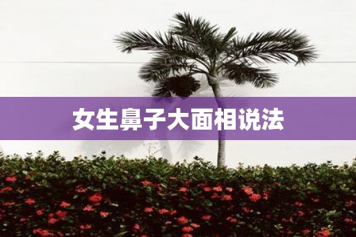 女生鼻子大面相说法