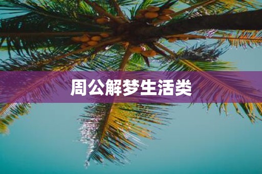 周公解梦生活类