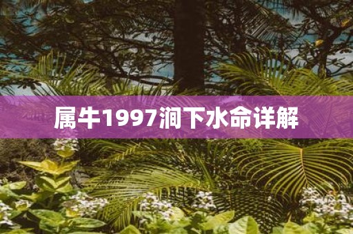 属牛1997涧下水命详解