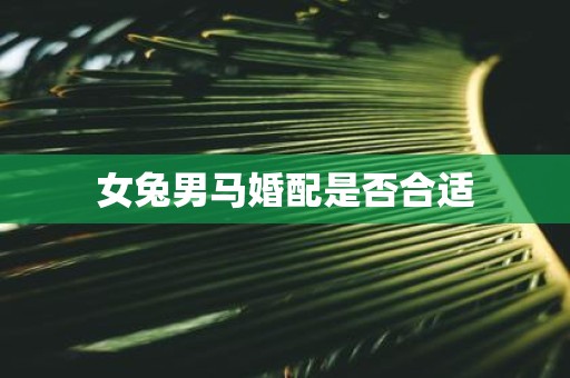 女兔男马婚配是否合适