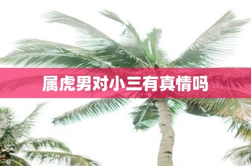 属虎男对小三有真情吗
