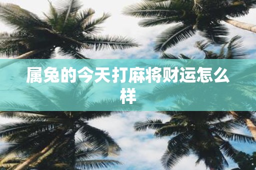 属兔的今天打麻将财运怎么样